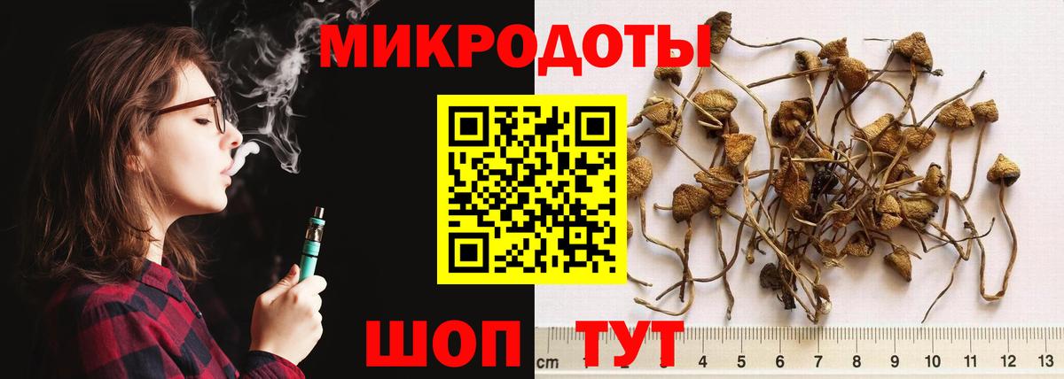 Псилоцибиновые грибы мицелий Междуреченск